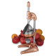 Прес для цитрусових та гранат Maskot Dokum PCA1-C2 Copper 6.3kg мідний колір рейковий тип 8694510340095